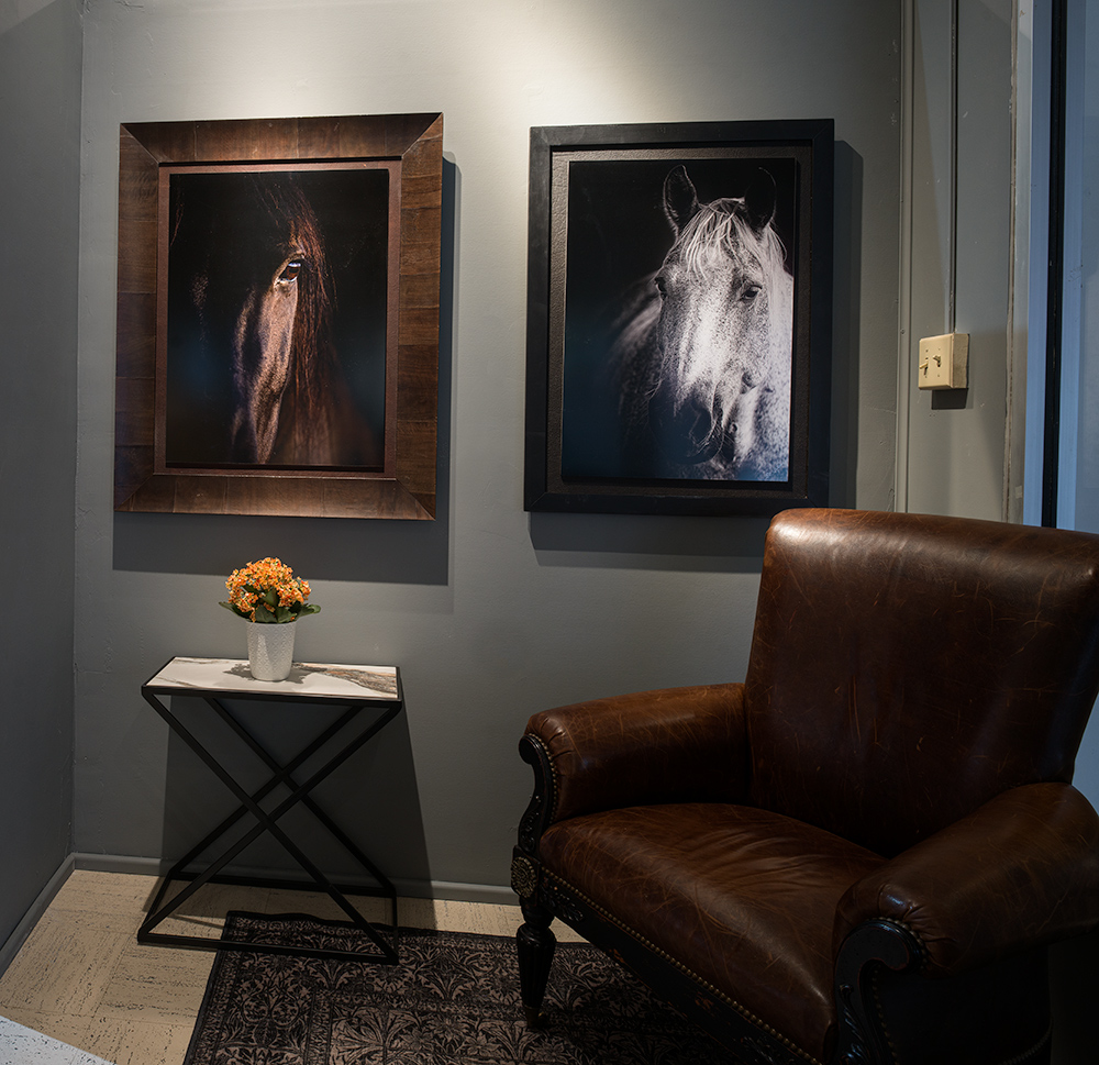 The Lucas Gallery Gallery5 GD Whalen Photography