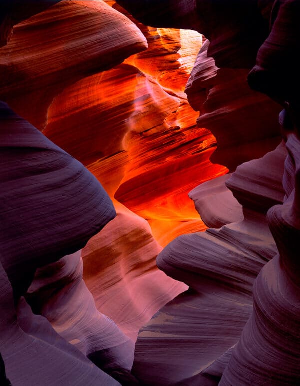 Nature photography