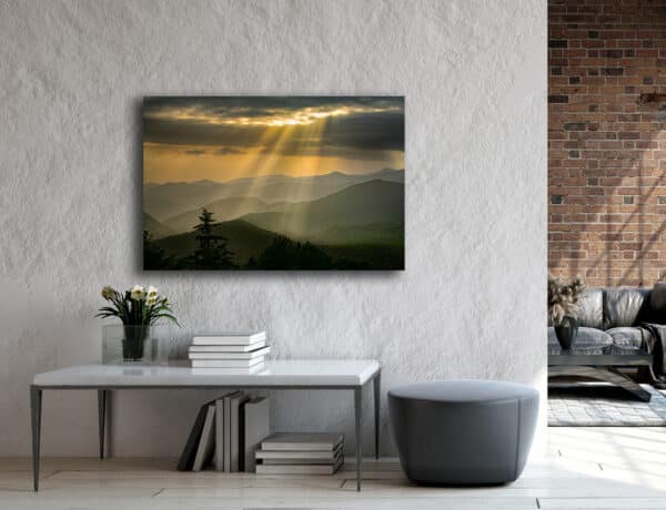 Archival canvas prints