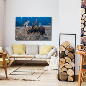 Home oversized acrylic office wall art GoliathMooseRoom2023 GD Whalen Photography