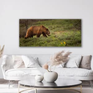 GD Whalen Photography Museum Grade Crystal Archival Prints Landscape photography wildlife photography nature photography