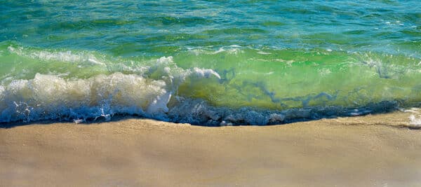 Gulf Beach Waves beach green nature photography sand ocean Florida