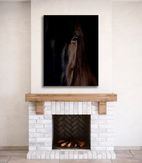 horse face GD Whalen Photography Museum Grade Crystal Archival Prints Landscape photography wildlife photography nature photography
