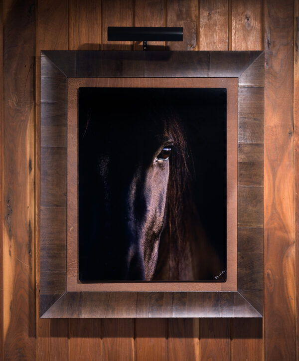 Teton Horse Portrait - Image 3