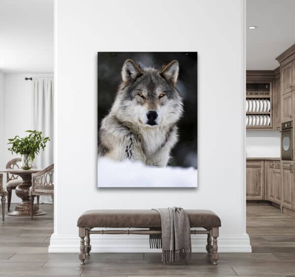 GD Whalen Photography Museum Grade Crystal Archival Prints Landscape photography wildlife photography nature photography
