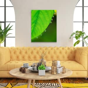Home oversized acrylic office wall art LeafDewRoom GD Whalen Photography