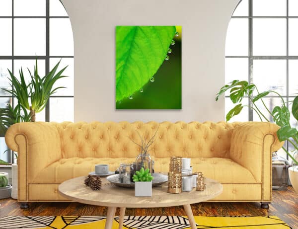 GD Whalen Photography Museum Grade Crystal Archival Prints Landscape photography wildlife photography nature photography