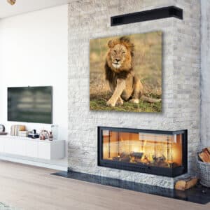 GD Whalen Photography Museum Grade Crystal Archival Prints Landscape photography wildlife photography nature photography