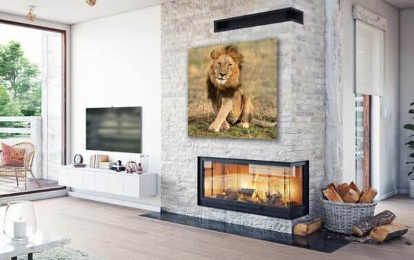 GD Whalen Photography Museum Grade Crystal Archival Prints Landscape photography wildlife photography nature photography