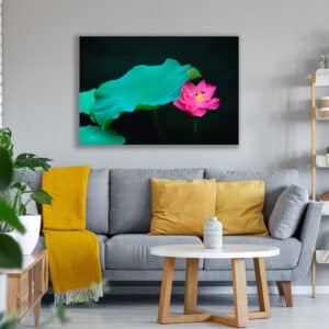 Archival canvas prints