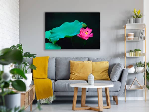 Archival canvas prints