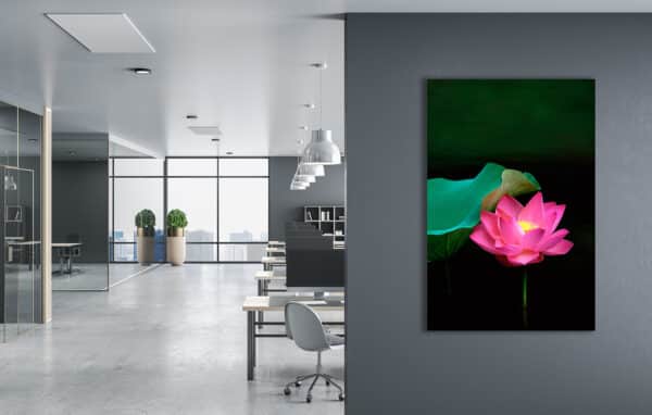 Pink Lotus with Emerald Water lotus LotusWall GD Whalen Photography