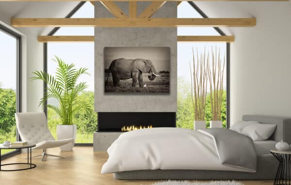 Masai Elephant elephant MasaiElephant 1 GD Whalen Photography