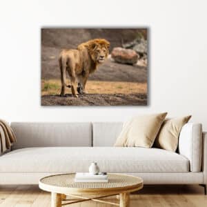 Archival canvas prints