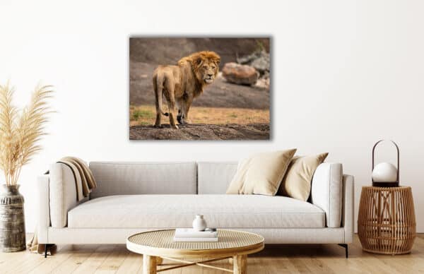 Archival canvas prints