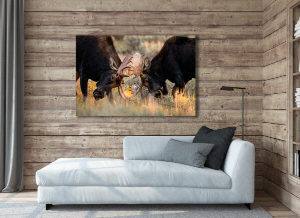 Moose Battle Print