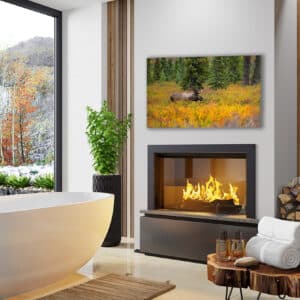 GD Whalen Photography Museum Grade Crystal Archival Prints Landscape photography wildlife photography nature photography