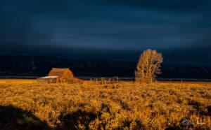 Nature photography