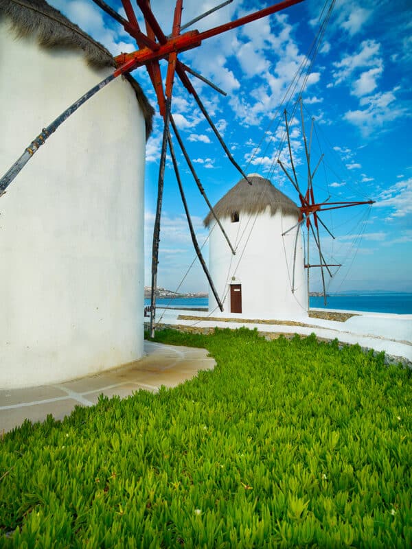 Nature photography windmill flowers landscape Mykonos Greece sky white photography