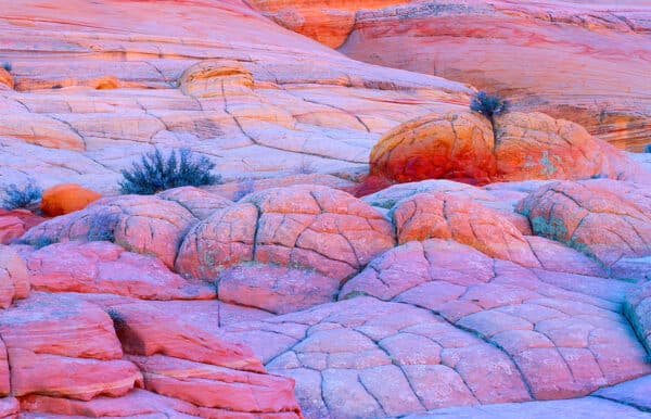 Painted Rocks rocks PaintedRocks GD Whalen Photography