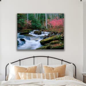 GD Whalen Photography Museum Grade Crystal Archival Prints Landscape photography wildlife photography nature photography