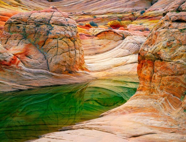 Utah GD Whalen Photography Museum Grade Crystal Archival Prints Landscape photography wildlife photography nature photography