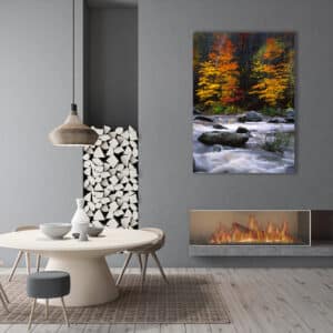 Archival canvas prints