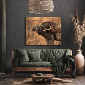 Cape Buffalo Print