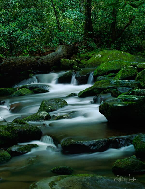 Emerald Falls falls SmokyMtnStream GD Whalen Photography