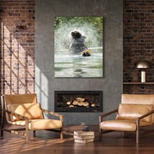 Museum Grade Crystal Archival Print wildlife photography nature photography grizzly bear splash fish salmon Alaska