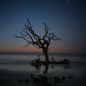 Night Sky