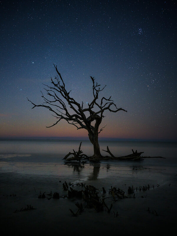 Stary Night - Driftwood Beach night GD Whalen Photography