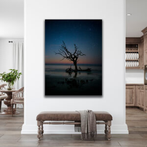 Jekyll Island Driftwood Print