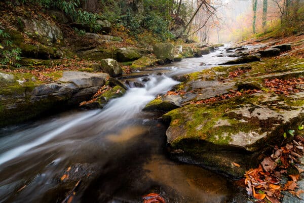 Stream Emerging from Mountain Mist stream StreamEmergingfromMtnMist GD Whalen Photography