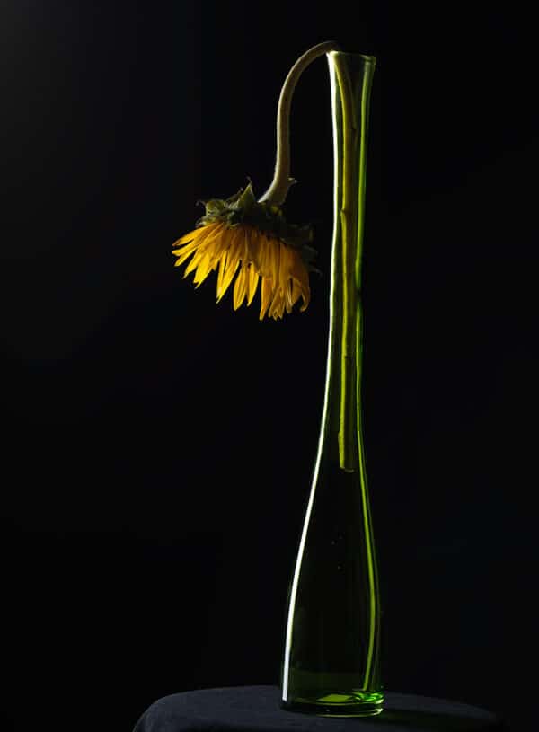 Glass Flower Vases SunflowerGreenBottle GD Whalen Photography