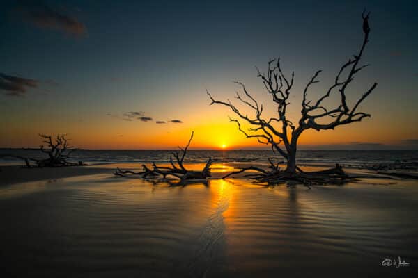 GD Whalen Photography Landscape photography wildlife photography nature photography beach sunrise Jekyll Island Georgia sunrise