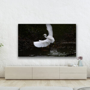 Home oversized acrylic office wall art TakeOFFroom GD Whalen Photography
