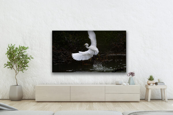 Bird Taking Off