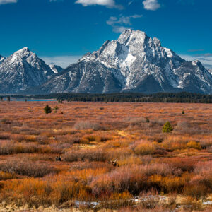 Tetons from jackson Lake mountains Tetons moose landscape photography Lake sky wildlife