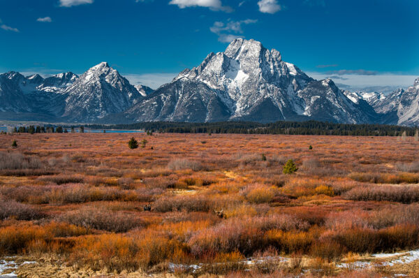 Tetons from jackson Lake mountains Tetons moose landscape photography Lake sky wildlife