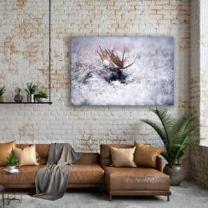 Teton Antlers Print