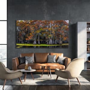 Wall art fine art Caddo Lake Texas print gd whalen photography