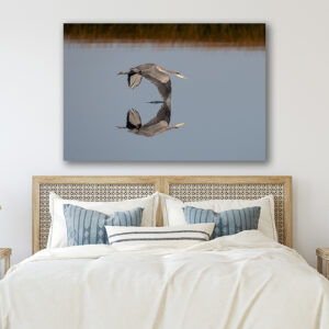 Bird flying over water