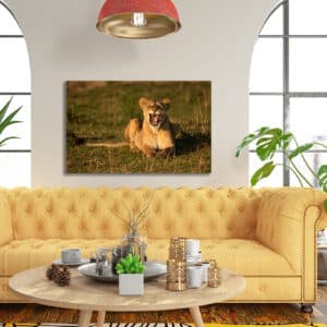Archival canvas prints