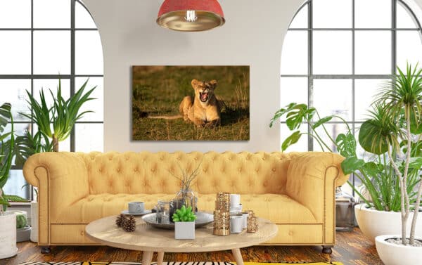 Archival canvas prints