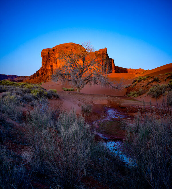 Tree of Light Monument Valley mountain stream sky valley landscape photography Hasselblad X2d