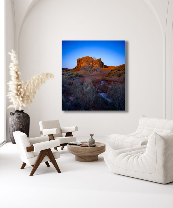 Tree of Light Print GD Whalen Photography Museum Grade Crystal Archival Prints Landscape photography wildlife photography nature photography