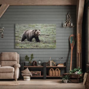Snow Bear Print