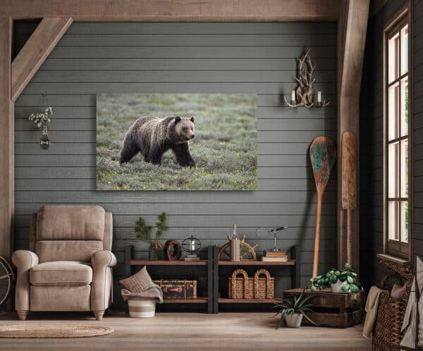 Grizzly Stroll grizzly WalkingSnowBearFlowersRoom GD Whalen Photography