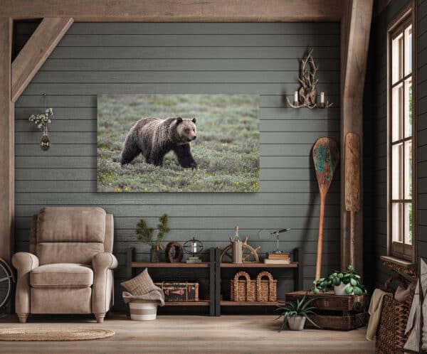 Snow Bear Print